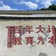 13年堅守慈善助學，為岑溪學子筑夢前行